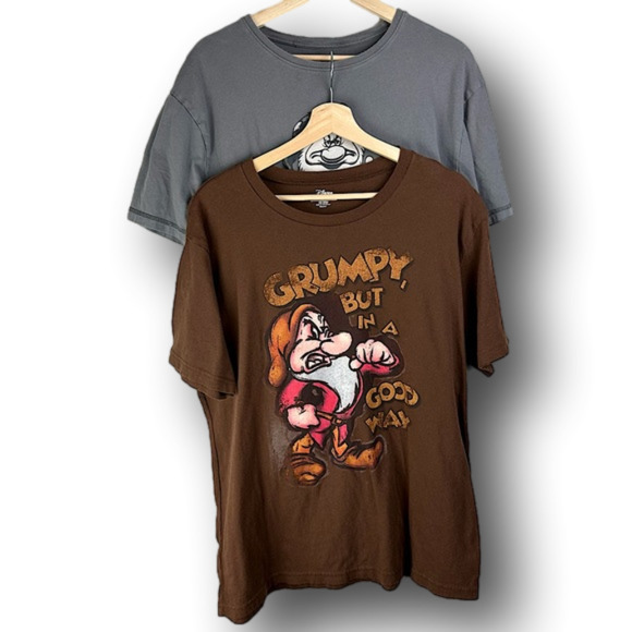 Disney Other - DISNEY Snow White Grumpy Dwarf Fun 2 Piece Bundle Short-sleeve Brown T-shirt